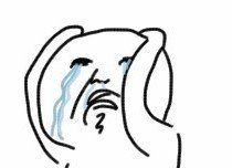 아....나...ㅅㄹ..함...가온차트가는데...