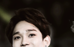 베톡보고 각성했는데 애들 전신사진 좀