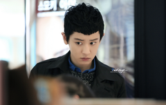 찬무룩 경계하는 멍뭉이