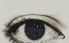 자신의 팬덤을 자랑해보자