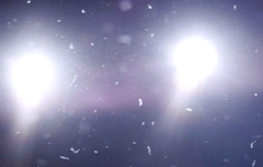 혹시 일코하는 수녀들 있어~~~~?