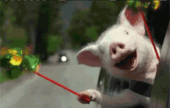 나 제일억울한게