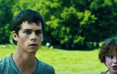 찬열에리카 시발 들어와 