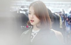 설리생일짤털244