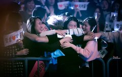 우리 타어 너무 헐리우드시죠