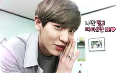 찬연시봐써 열매들?