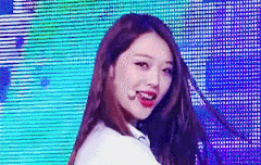 늘 좋을 줄 만 알았던 너와의 기억도