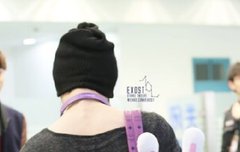 조련왕님으로인정