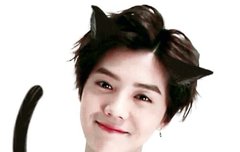 허니들 이거 언제야?