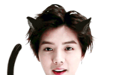 요 움짤 졸라 귀욥다 ㅋㅋ