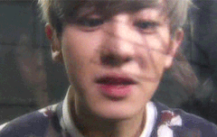 에리카가 요정을 위해서 