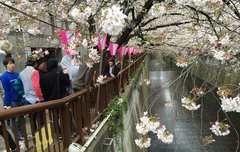 옊쏘줄 슴피곡 우리애들 데뷔곡으로