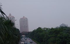 사담)이씽님아~!