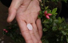 빠대야 요새 친구문제는 어떼?