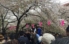 백현이 두근거려 진심좋다