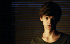 나만 외국배우빠니...?