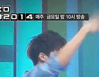 140822 EXO 902014 재현