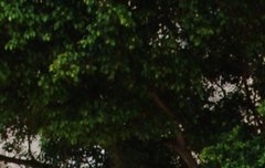 사담)어휴 사담쟁이;