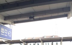 비둘기 잠들다...