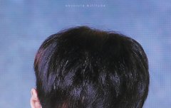 셔츠를 입은 씽이는 언제나 옳습니다.