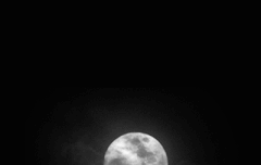 오랫동안 좋아한 아이돌있어?