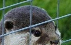 엑톡에서 레줌들좀 잡아가라