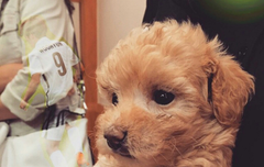 남우현 강아지 콩떡이.jpg