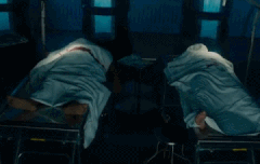 테런 아이디 기억안남 