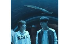 빅뱅 태양이 이상형인데....민효린정도는 돼야 사귈 수 있겠죠....