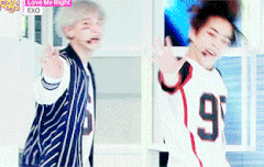 이 짤 너무좋아