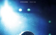 좋아하는 사진 분위기 있음?