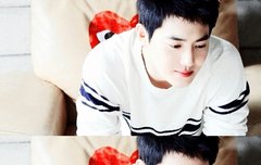 즐찾수 점점 늘고있다 지금 459