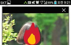 흔한엑소엘의졸업사진이랰ㅋㅋ