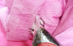 온니 쭈꾸미볶음 삼각김밥 먹어보셈ㅎㅎ