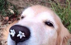 빠돌빠순이들 웃긴게 ㅋㅋㅋ