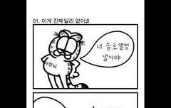 승리 욕하시는 분들.. 들어와보세요ㅠ