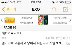 20150817 홍콩콘서트 엑소 갤러리 만행 (노답보스)