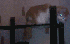 그래 대 세다 임마