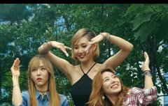 아이돌에 관심없는데 마마무