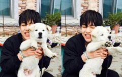 이번에 태형이꿈꾸려고 사진보고 잤는데