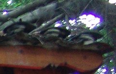 사담)연휴잘지냅시다