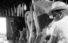 자꾸만 니 생각만 나는