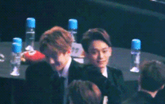 [100총]짤정리를 하려는데 짤이너무 많아..