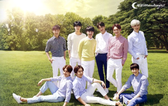 2015 네이쳐 카탈로그 스캔본