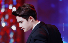 도경수봇 업뎃 30p