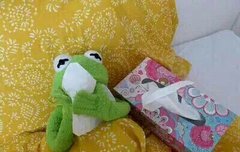 ㅅㄷ) 갑자기생각났는데 아련한거 뷰_뷰