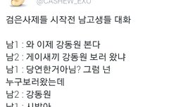 ㅈㅁ) 이거 무슨 컾같아??