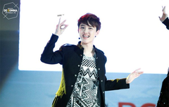 도경수봇 업뎃 31pc