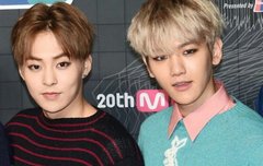 빽밍) 일하러 가라고 했지 누가