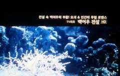 ㅂㅊ) 나한테 백여우는